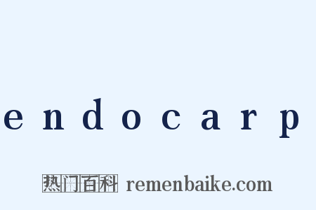 endocarp是什么意思的图片